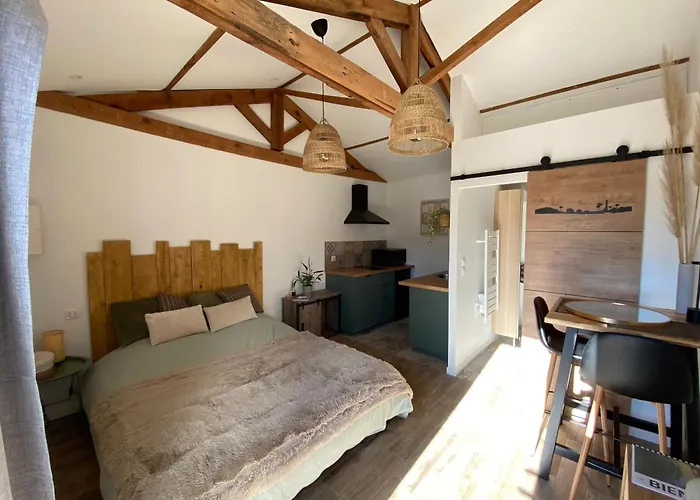 Paisible Avec Jardin Bassin Arcachon * Gujan-Mestras