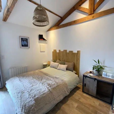 Paisible Climatise Avec Jardin Bassin Arcachon Gujan-Mestras